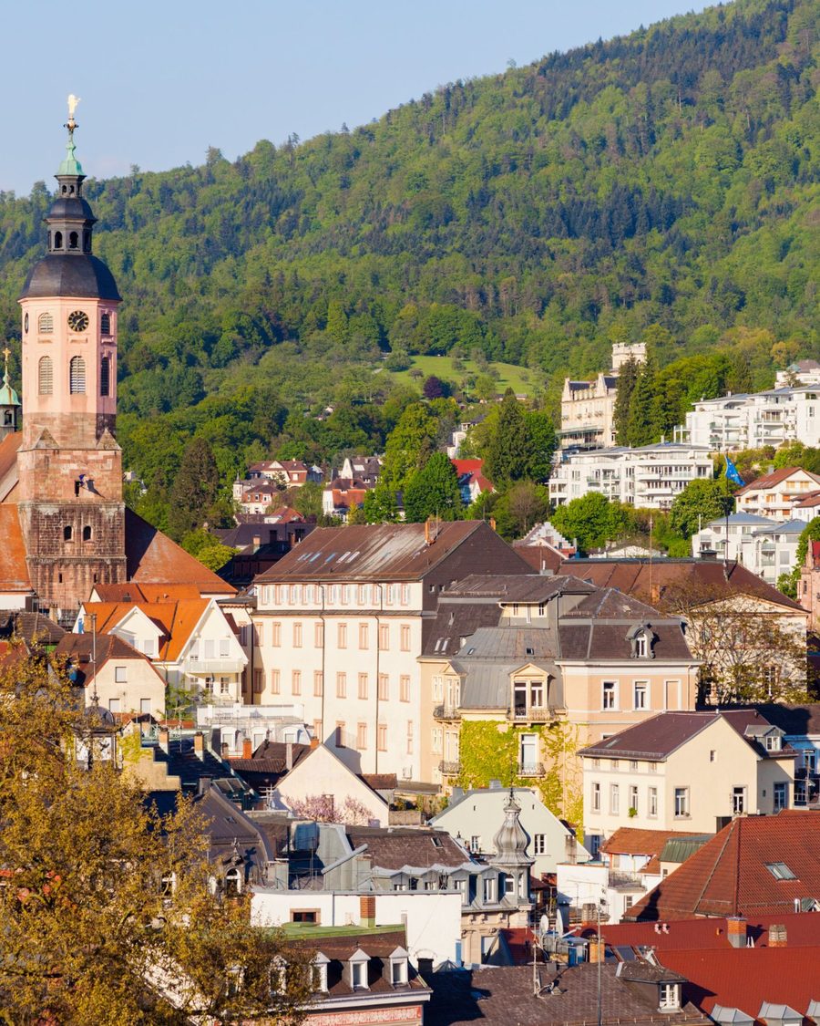 Südbaden mit Oberrhein, typisches Einsatzgebiet
